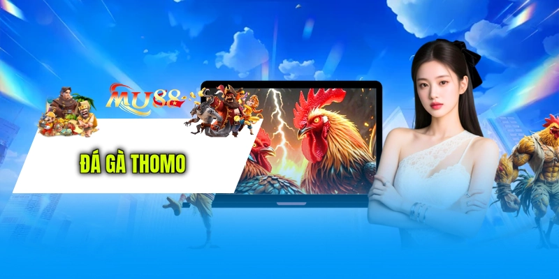 Đá Gà Thomo